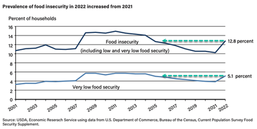 us food insecurity crisis erupts 17 million households starving highest in 11 years 