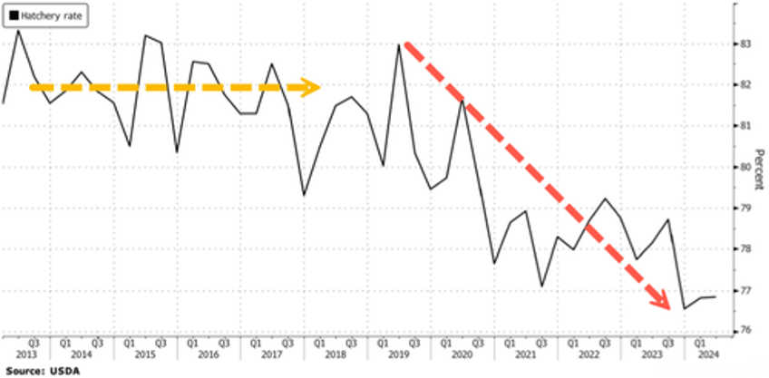 us frankenchicken supply hit with hatchery issues as production woes may send prices higher