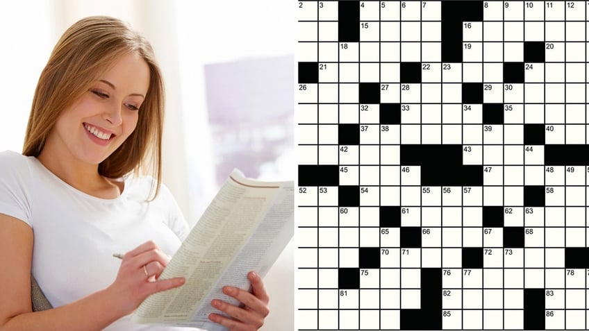 daily crossword puzzle split