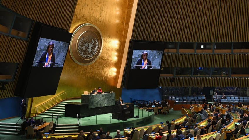 United Nations General Assembly