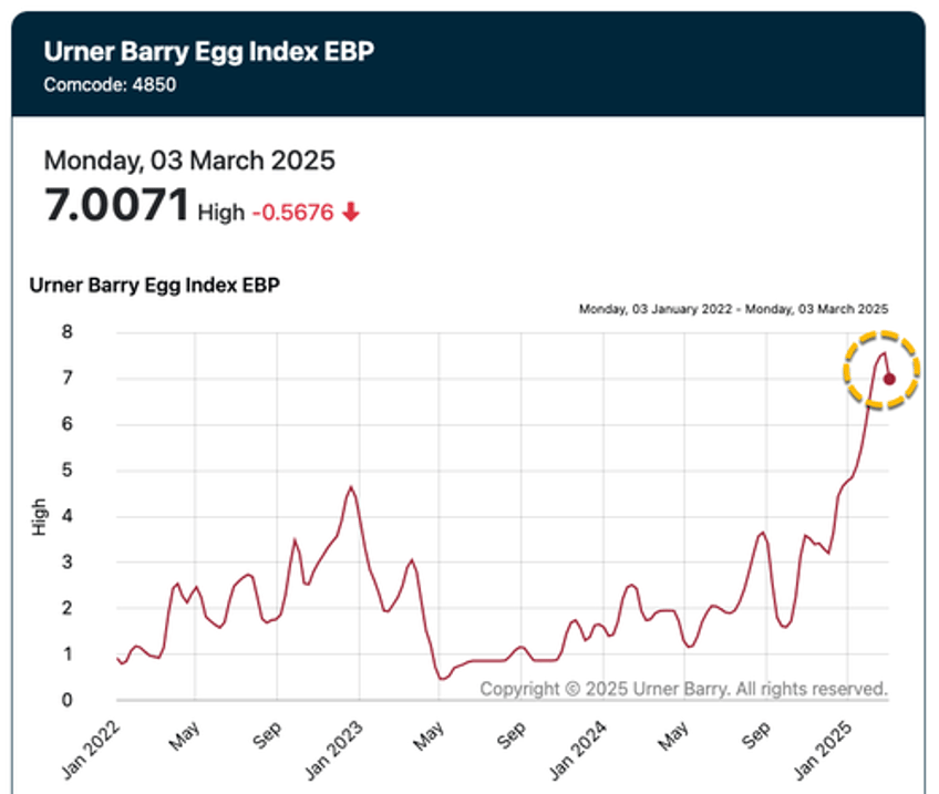 us scours world for egg supplies after bidens insane slaughter of 150 million chickens