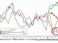 US Services Surveys Confirm 