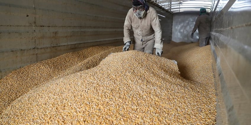 us set to escalate trade grievance with mexico over genetically modified corn ban