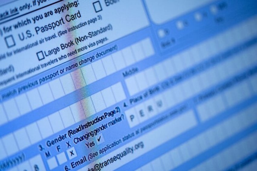 A partially completed passport application, with an 'X' gender marker, is seen on a comput