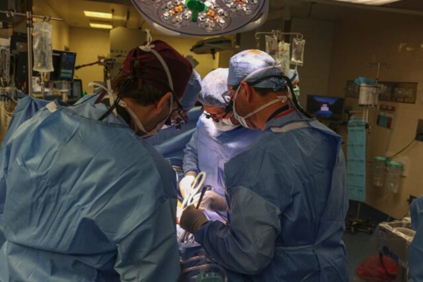 Surgeons at Massachusetts General Hospital performing the world's pig kidney transplant in