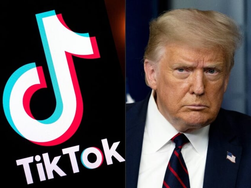 US President-elect Donald Trump has been supportive of TikTok, but it is unclear if he can