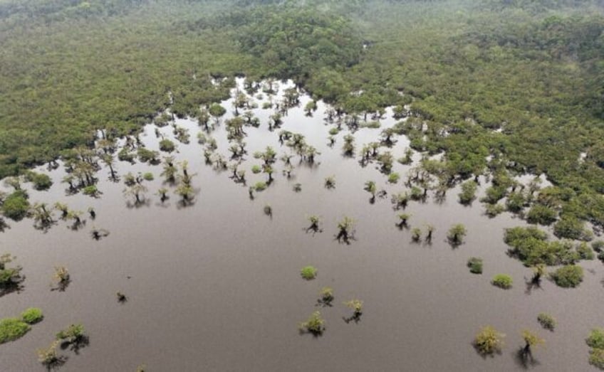 Aerial view of Laguna Grande in the protected Amazon rainforest of Cuyabeno, Ecuador, on M