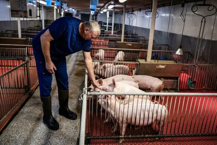 us uk trade deal highlights gap in agricultural practices