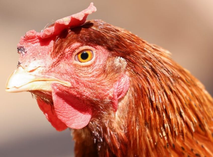 Scientists have been sounding the alarm about the potential pandemic threat posed by bird