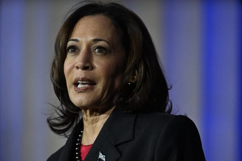 US Vice President Kamala Harris urged Democrats to 'fight back' against a second Trump term