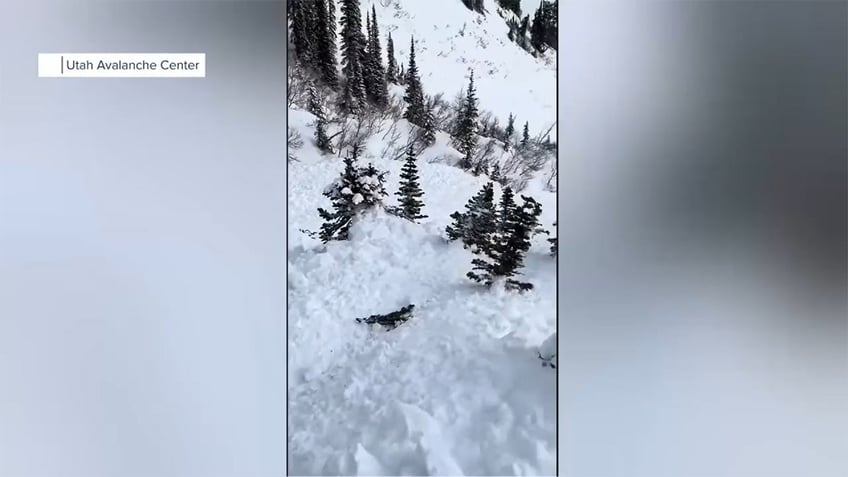 Brothers survive Utah avalanche