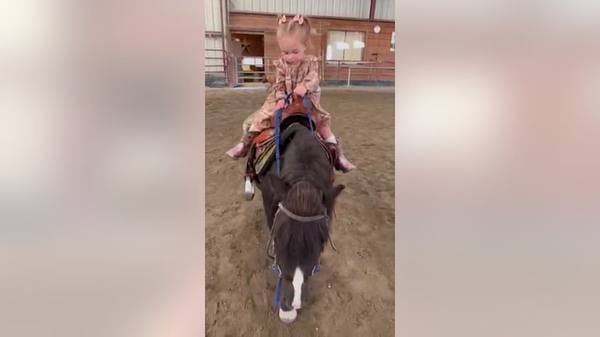 utah toddler age 2 rides horses as family claims shes a horse whisperer with a special touch