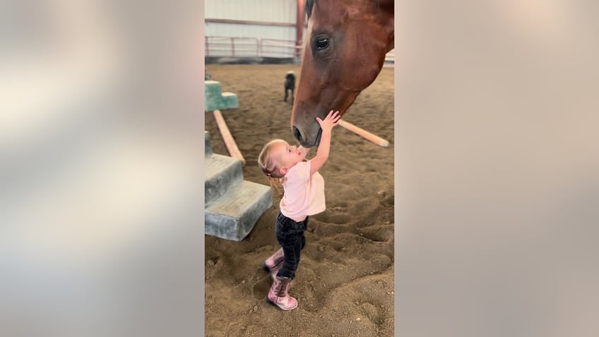 utah toddler age 2 rides horses as family claims shes a horse whisperer with a special touch