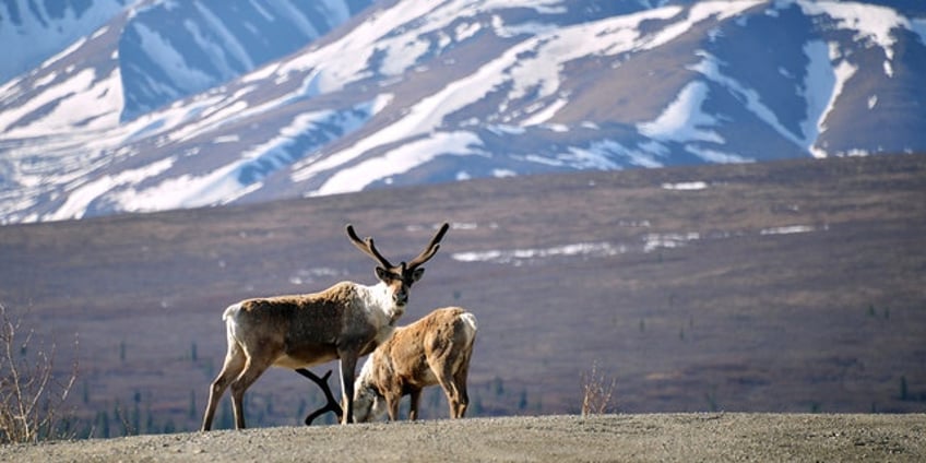 vacationing in alaska add these plans to your itinerary