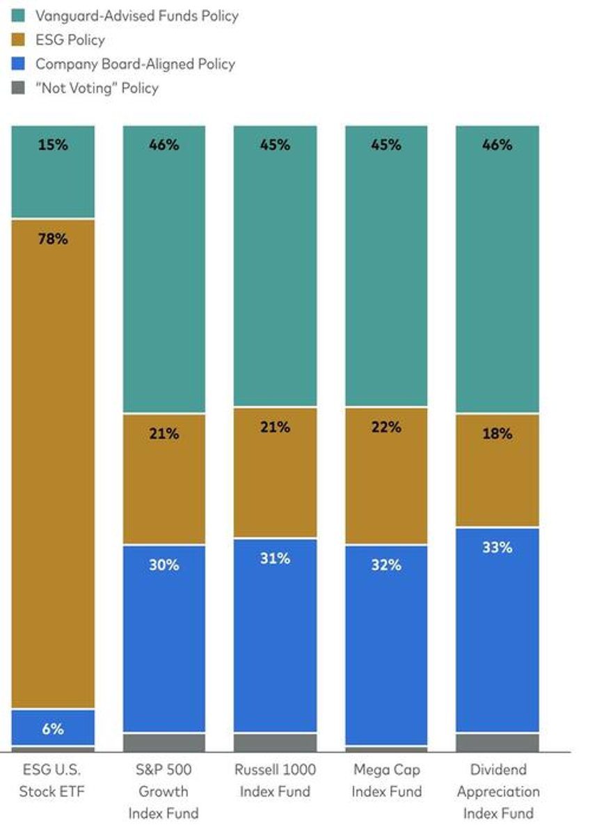 vanguard adds 3 new proxy vote options expands shareholder choice pilot