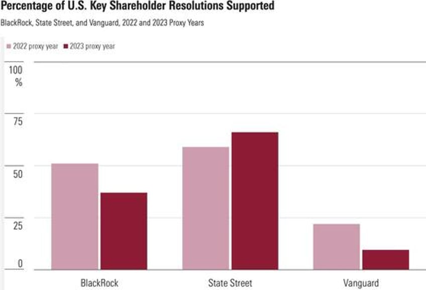 vanguard expands proxy voting choice as big three indexers give more investors a say