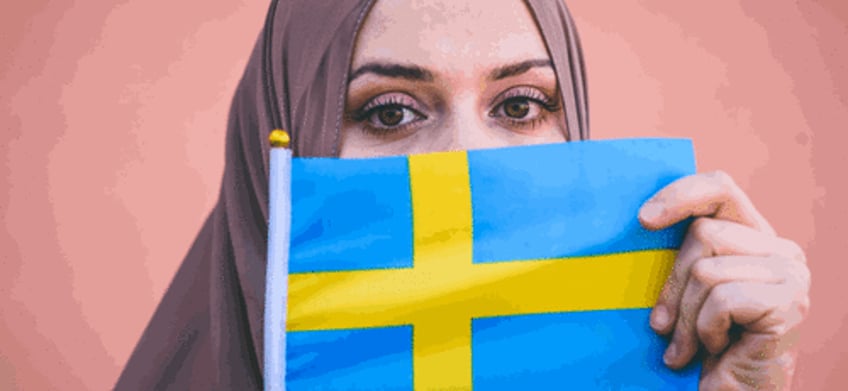 very few migrants interested in swedens remigration offer worth eur31000