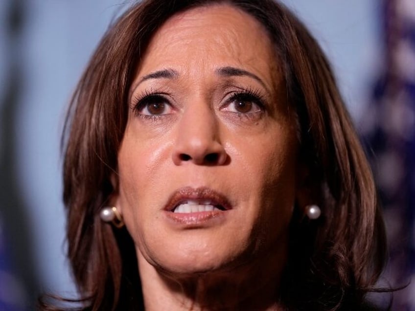 Democratic presidential nominee Vice President Kamala Harris speaks with reporters before