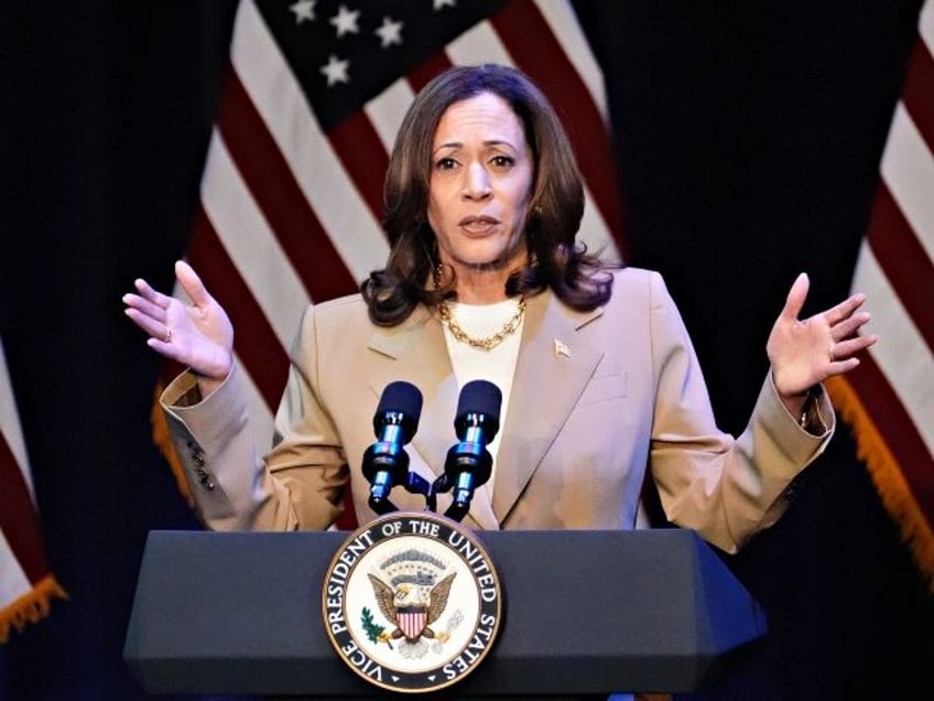 US Vice President and Democratic presidential candidate Kamala Harris speaks during a camp