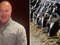Victims of 'Bernie Madoff of cows' take on major banks in massive ghost cattle Ponzi scheme