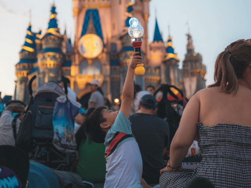 People Enjoying the Magic Kingdom Moment in Disney World