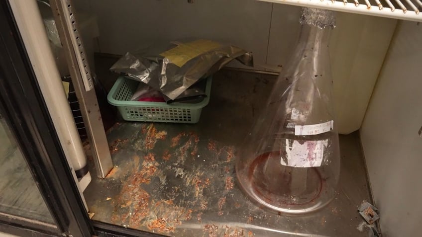 video captures china linked california biolabs major safety issues dirt bugs dried blood and more