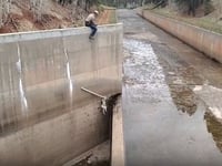 Video shows Colorado wildlife officers dangling rope to rescue mountain lions from spillway