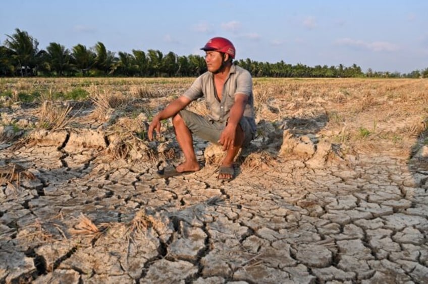 A farmer sits in a drought-stricken rice field in Vietnam's southern Ben Tre province, whi