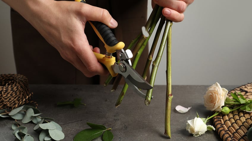 cutting-flower-stems