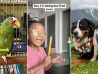 Viral headlines: Trending family stories, pet tales, food finds and more you won't want to miss