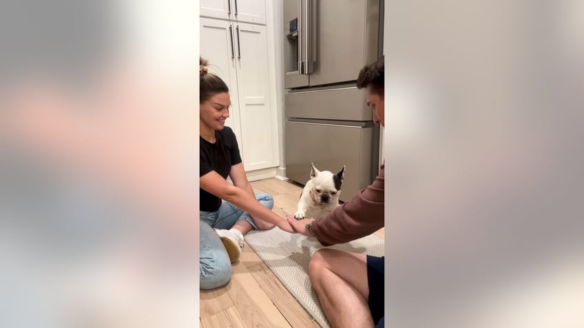 dog doing paw in challenge with owners