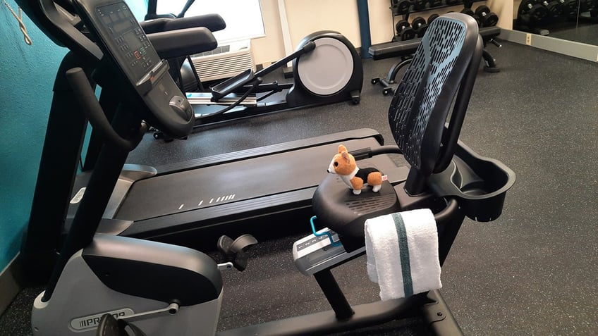 Toy on exercise bike