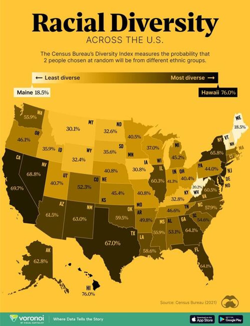 visualizing racial diversity across all us states