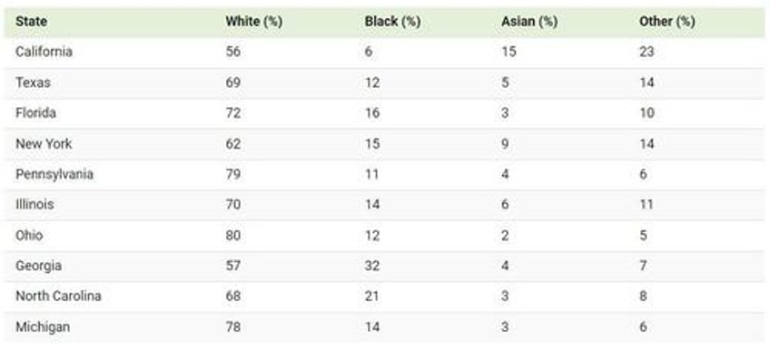 visualizing racial diversity in americas 10 largest states