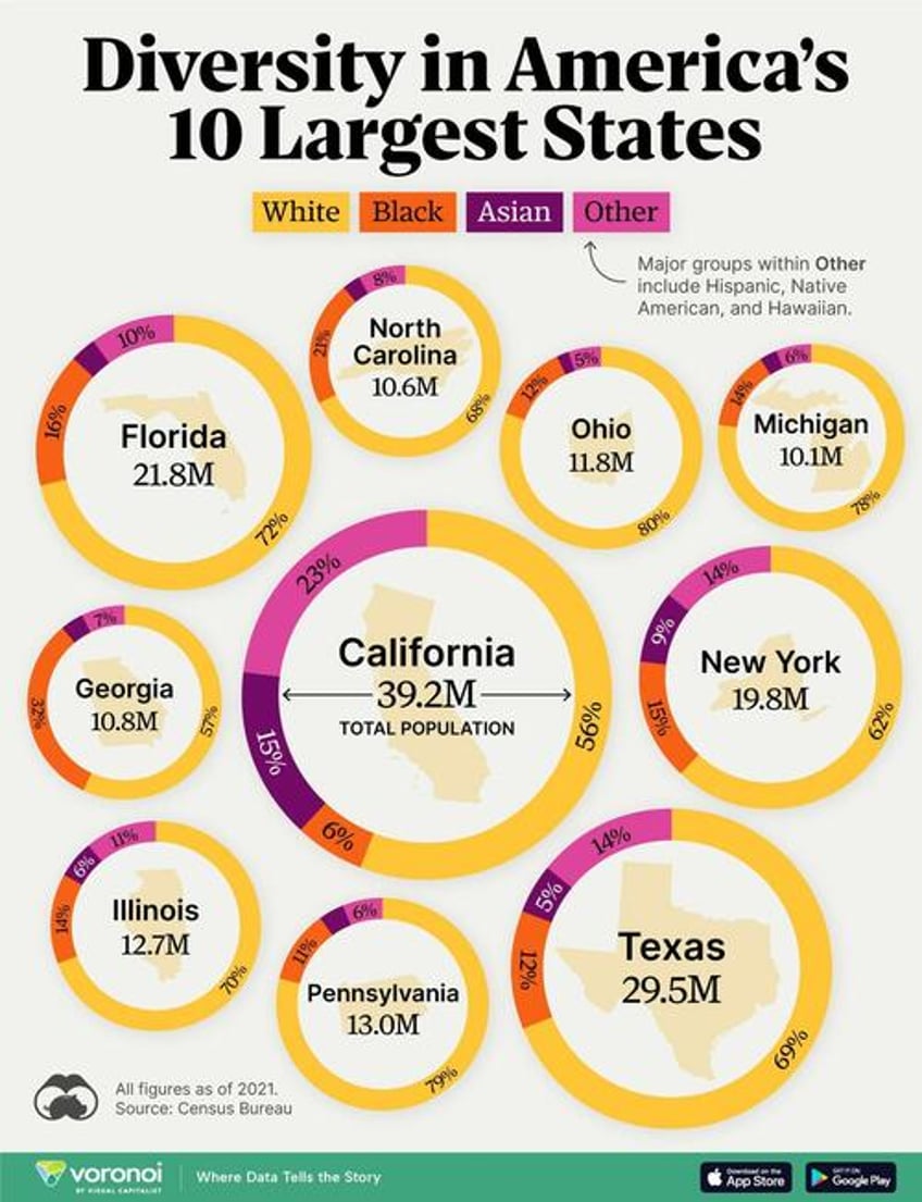 visualizing racial diversity in americas 10 largest states