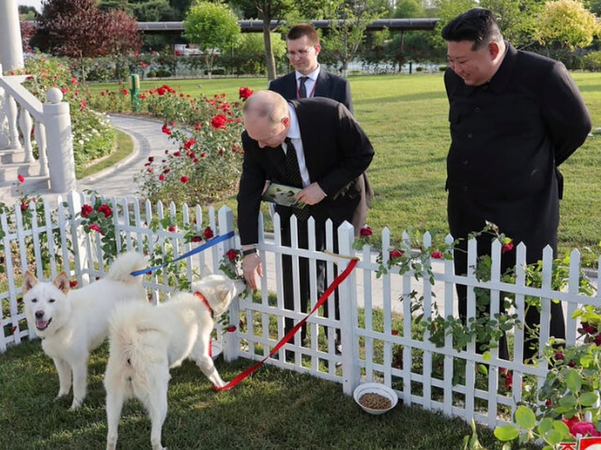 In this photo provided by the North Korean government, North Korean leader Kim Jong Un, ri