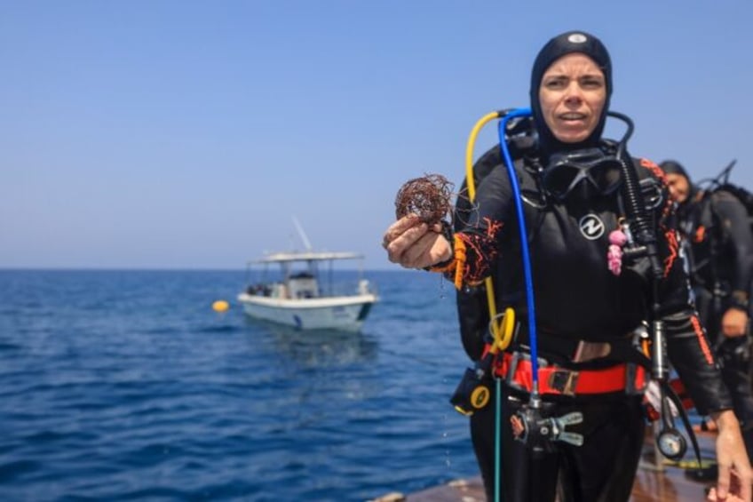 volunteer divers guard omans unique coral reefs