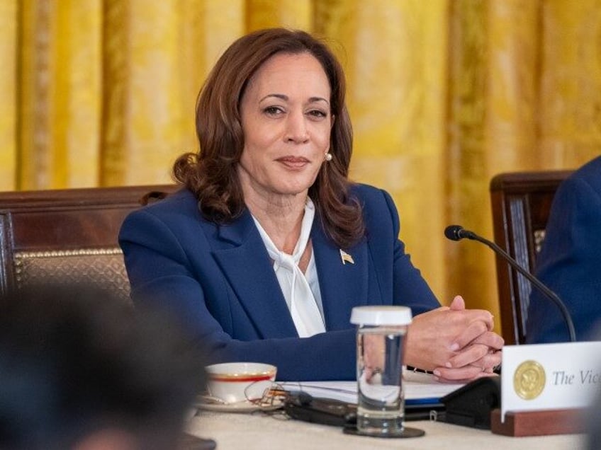 Defense Secretary Lloyd Austin and Vice President Kamala Harris attend a trilateral meetin