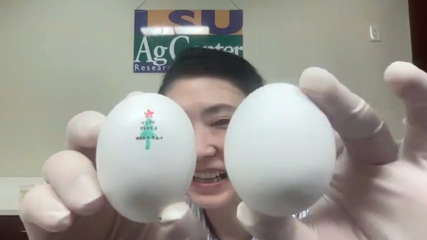 LSU food scientist Yupeng Gao holds an egg coated with chitosan (marked with a Christmas tree drawing on its shell) and one without the coating.