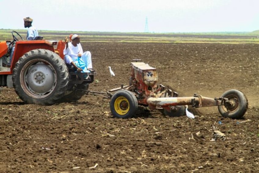 Sudanese farmers plough a field in Gedaref -- the state's agriculture ministry says less t