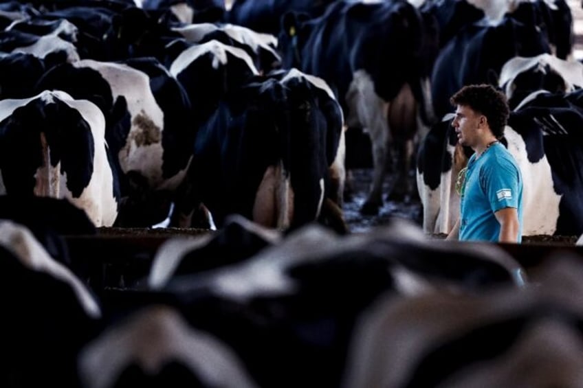 wartime farm israel volunteers step in for dead foreign labourers