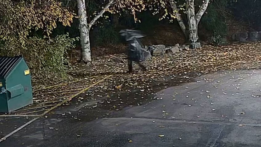 washington cowboy wannabe destroys winery in bizarre standoff caught on camera