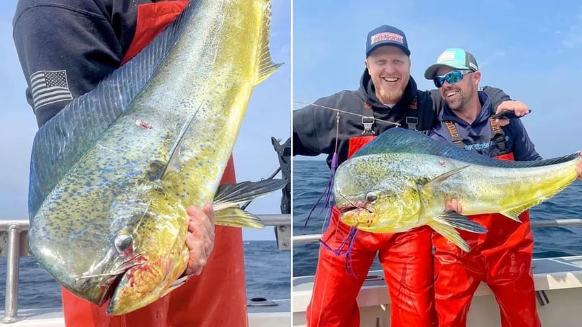 washington fisherman catches massive record breaking mahi mahi prayed for that