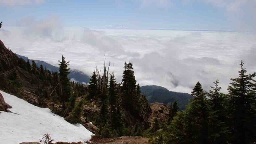 Mt. Ellinor