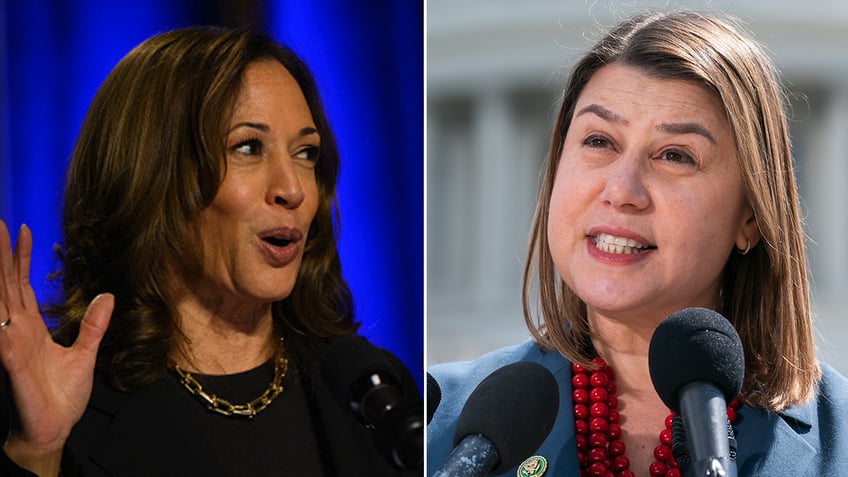 Kamala Harris and Elissa Slotkin split image