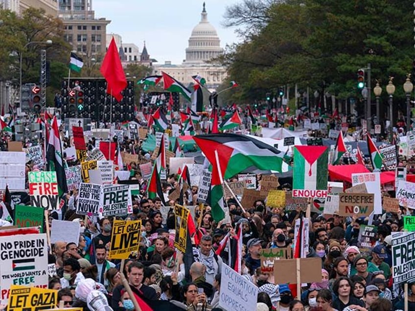 With the U.S Capitol n the background thousands of protesters rally during a pro-Palestinian demonstration at Freedom Plaza in Washington, Saturday, Nov. 4, 2023. As the Israel-Hamas war rages in Gaza, there's a bitter battle for public opinion flaring in the U.S., with angry rallies and disruptive protests at prominent …