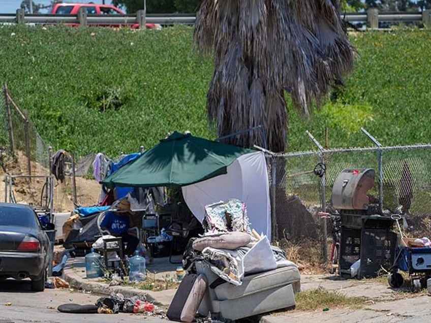 A homeless encampment sits next to the CA-110 freeway on Friday, July 26, 2024, in Los Ang