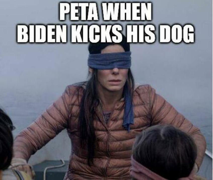 watch biden kicks his dog as rumors of animal abuse swirl