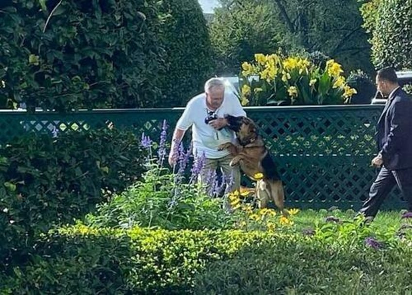 watch biden kicks his dog as rumors of animal abuse swirl