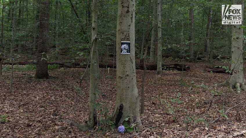 A photo of Rachel Morin is posted on a tree along a hiking route